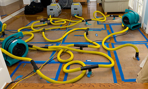 Professional Water Extraction technician working in Capac, MI