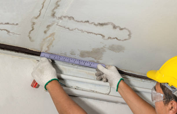 Affordable Water Damage Repair solutions in Capac, MI
